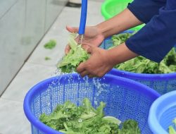 Inovasi 4 Anak Muda, Ubah Limbah MBG Jadi Rupiah