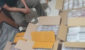 Penyelundupan 797 iPhone di Pelabuhan Roro Telaga Punggur Batam, Sopir CR-V Jadi Tersangka