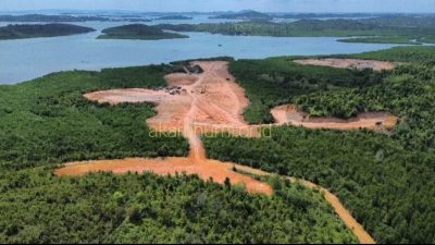 Reklamasi Ilegal di Tanjungpiayu Batam Hancurkan Hutan Mangrove dan Nasib Nelayan