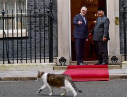 Larry the Cat Beraksi, Prabowo dan PM Inggris Auto Senyum di 10 Downing Street