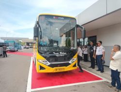 Bus Trans Batam Hadirkan Rute Baru Menuju Bandara Hang Nadim