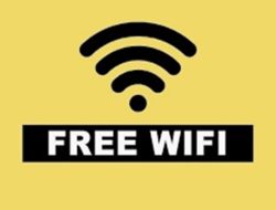 Meski Efisiensi Anggaran, Pemko Tanjungpinang Pertahankan 48 Titik WiFi Gratis