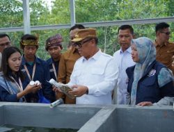 Warga Sembulang Batam Punya Rumah Budidaya Rumput Laut, Ini Fasilitasnya